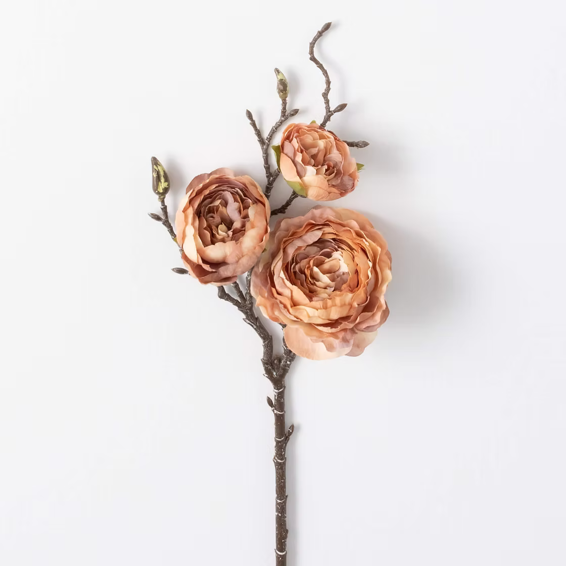 Ranunculus Spray - Cream