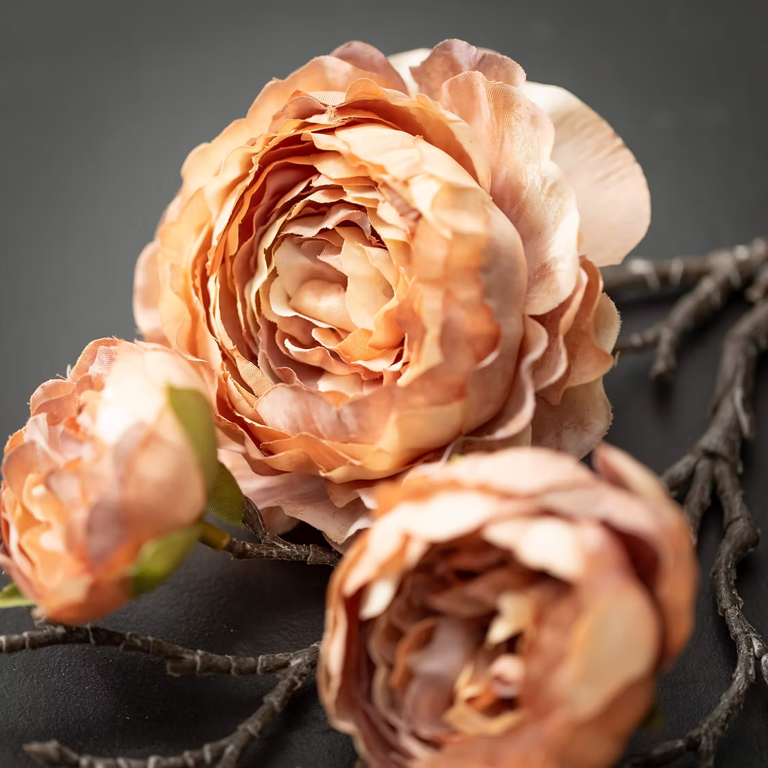 Ranunculus Spray - Cream